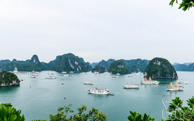 vinh-ha-long-nam-trong-top-10-diem-den-dep-nhat-the-gioi-nam-2022_1.jpg vinh-ha-long-nam-trong-top-10-diem-den-dep-nhat-the-gioi-nam-2022_1.jpg