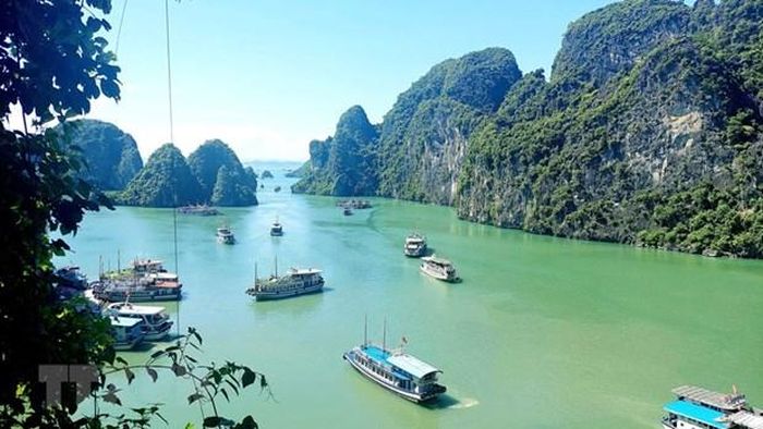 Vịnh Hạ Long một lần nữa đã trở thành bối cảnh trong một bộ phim của Hollywood, sau “Kong: The Skull of Island,” đó là “The Creator” - phim viễn tưởng của đạo diễn Gareth Edwards. Vịnh Hạ Long một lần nữa đã trở thành bối cảnh trong một bộ phim của Hollywood, sau “Kong: The Skull of Island,” đó là “The Creator” - phim viễn tưởng của đạo diễn Gareth Edwards.