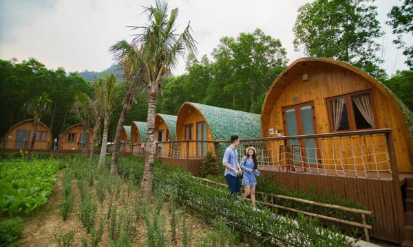 Vỡ mộng bỏ phố về rừng, chủ farmstay rao bán cắt lỗ vẫn không người mua