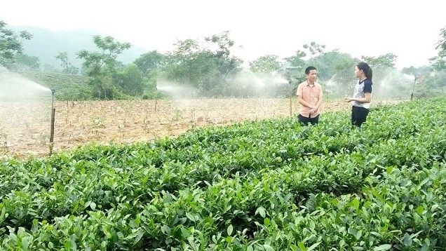 Vốn, chi phí… làm khó nông dân