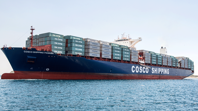 Vụ 100 container điều xuất khẩu sang Italy: Bài học đắt giá trong giao dịch quốc tế