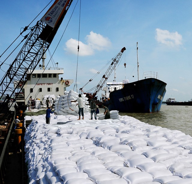 vung-v224ng-phuc-hoi-giua-th225ch-thuc_1.jpg vung-v224ng-phuc-hoi-giua-th225ch-thuc_1.jpg