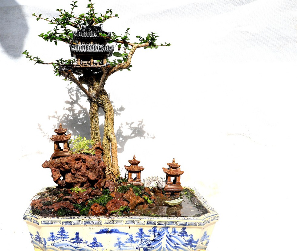 Vượt người Ấn Độ, người đàn ông Nha Trang lập kỷ lục thế giới với 4575 bộ bonsai mini - ảnh 11