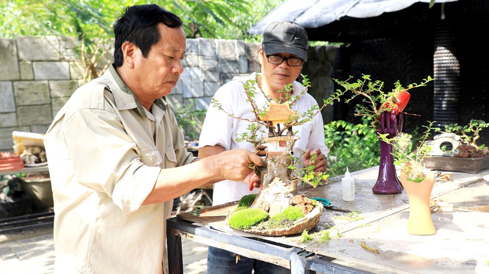 Vượt người Ấn Độ, người đàn ông Nha Trang lập kỷ lục thế giới với 4575 bộ bonsai mini - ảnh 14
