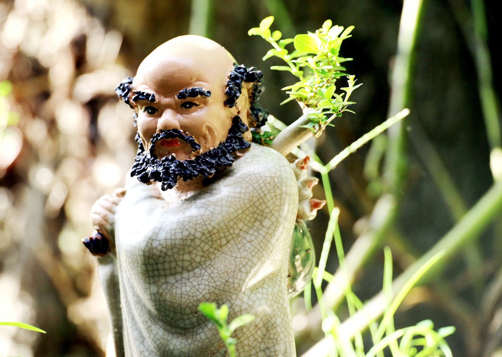 Vượt người Ấn Độ, người đàn ông Nha Trang lập kỷ lục thế giới với 4575 bộ bonsai mini - ảnh 17