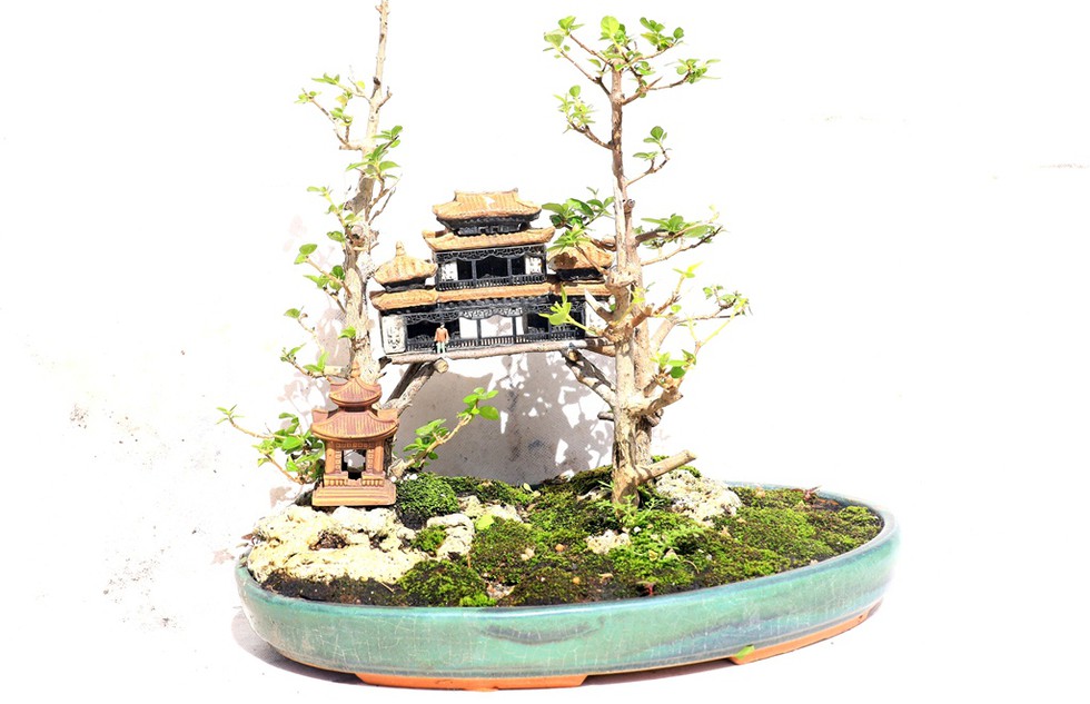 Vượt người Ấn Độ, người đàn ông Nha Trang lập kỷ lục thế giới với 4575 bộ bonsai mini - ảnh 3
