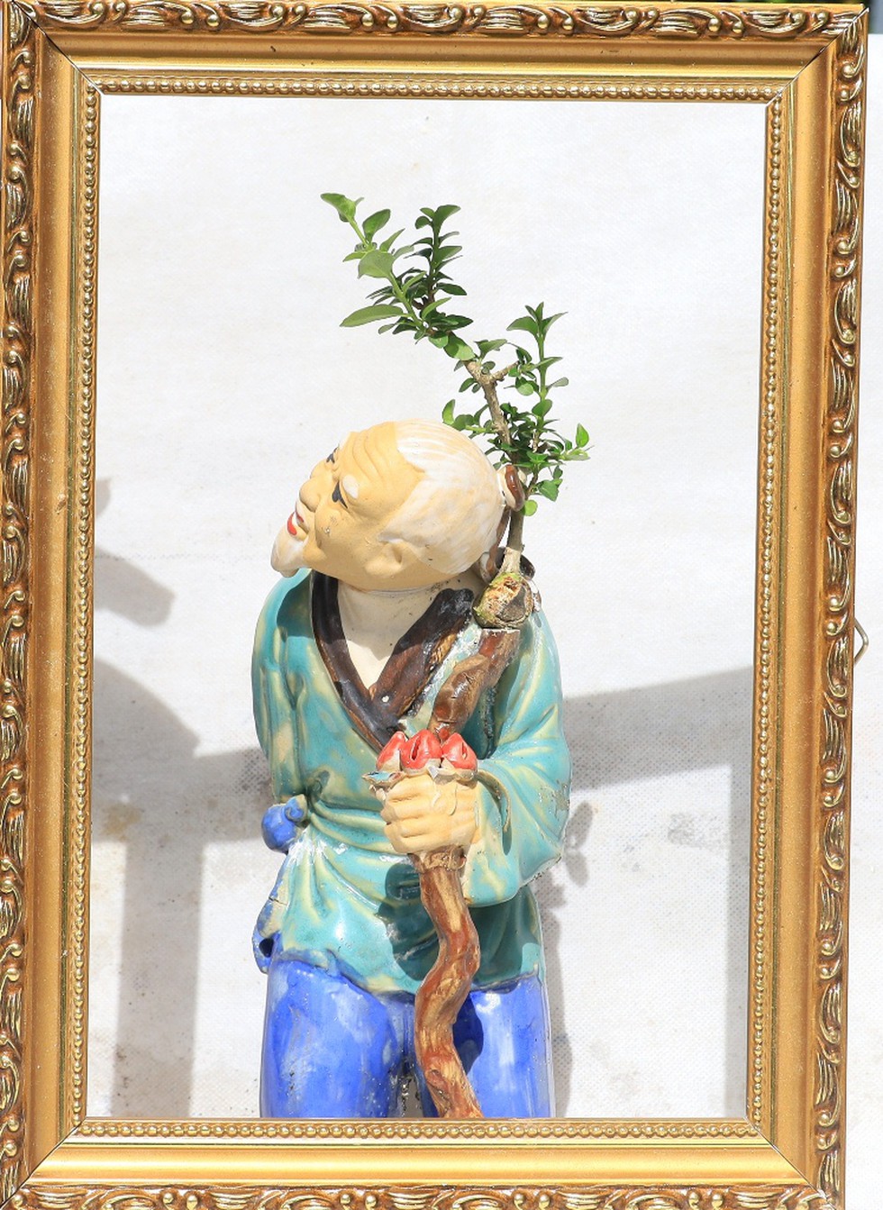 Vượt người Ấn Độ, người đàn ông Nha Trang lập kỷ lục thế giới với 4575 bộ bonsai mini - ảnh 4