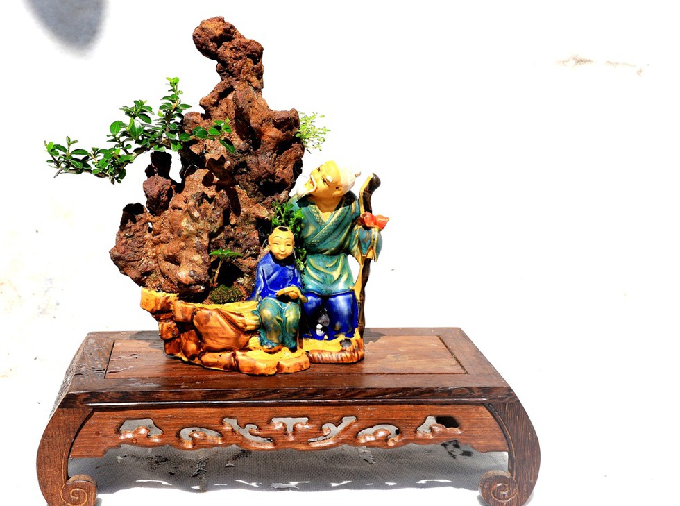 Vượt người Ấn Độ, người đàn ông Nha Trang lập kỷ lục thế giới với 4575 bộ bonsai mini - ảnh 8