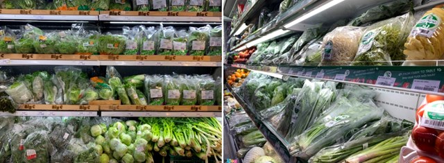 winmart-v224-tiki-phan-hoi-ve-rau-sach-39dom39_2.jpg winmart-v224-tiki-phan-hoi-ve-rau-sach-39dom39_2.jpg