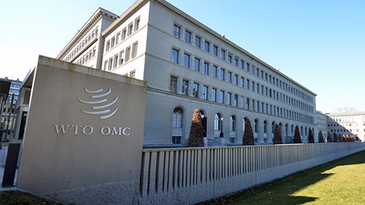 WTO khởi động đàm phán về cung ứng vắc xin Covid