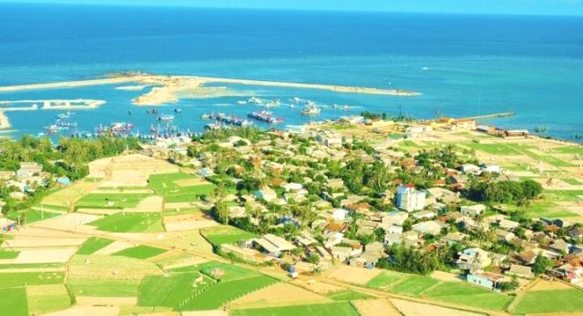 Cánh đồng tỏi đảo Lý Sơn Cánh đồng tỏi đảo Lý Sơn
