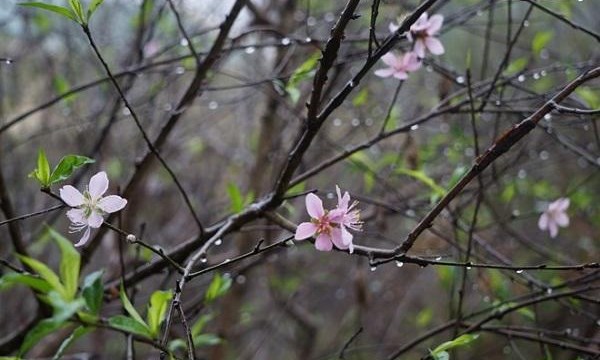 Xu hướng thời tiết 10 ngày tới