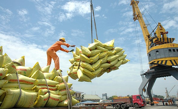 Xuất khẩu gạo liên tiếp nhận tin vui