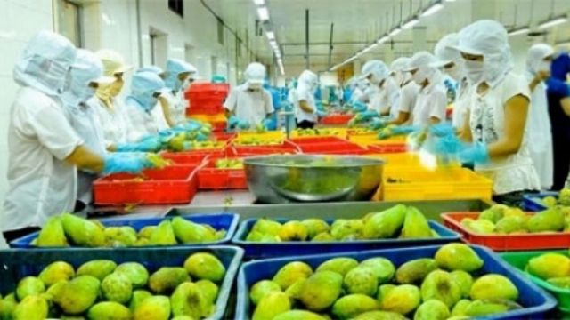 Xuất khẩu hàng hóa cả năm 2022 ước đạt 368 tỷ USD; 29 mặt hàng xuất khẩu trên 1 tỷ USD