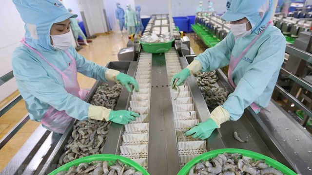 Xuất khẩu nông lâm thủy sản phục hồi
