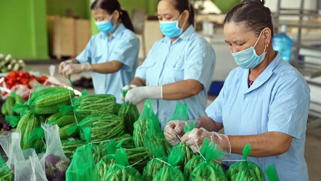 Xuất khẩu nông sản: Khởi sắc từ đầu năm