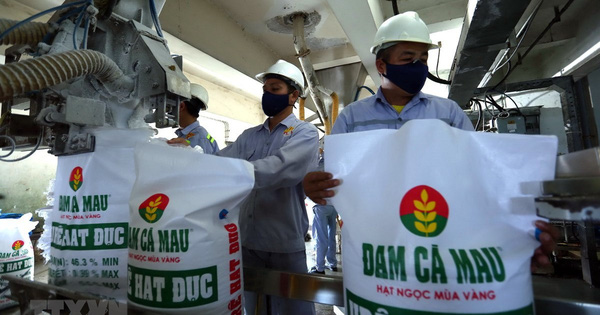 Xuất khẩu phân bón tăng mạnh, cổ phiếu Đạm Cà Mau (DCM) lên mức cao nhất kể từ khi niêm yết
