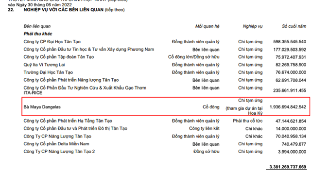 Yêu cầu Tân Tạo giải trình việc tạm ứng hơn 600 tỷ đồng cho bà Đặng Thị Hoàng Yến