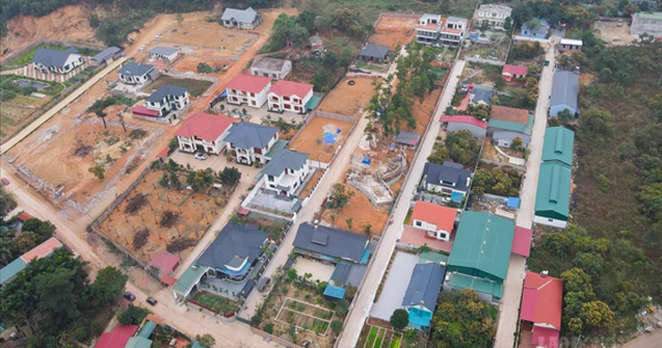 Yêu cầu xử lý dứt điểm vi phạm quản lý, sử dụng đất đai tại Vĩnh Yên